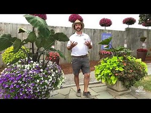 Pleasant View Gardens Live Day 2! 2021 Proven Winners New Intros Tour