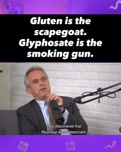 Heavy Metals In Children | Anna on Instagram: "RFK Jr just said the quiet part out loud. And once you see it, you cannot unsee it. 2006 is the year everything changed. Not gradually. Not over generations. Suddenly. Gluten intolerance exploded. Celiac diagnoses skyrocketed. Children who could eat bread one year were reacting the next. This was not genetics. Genes do not mutate on a calendar date. 2006 is the year glyphosate began being sprayed on wheat as a desiccant. Not for pests. Not for weeds