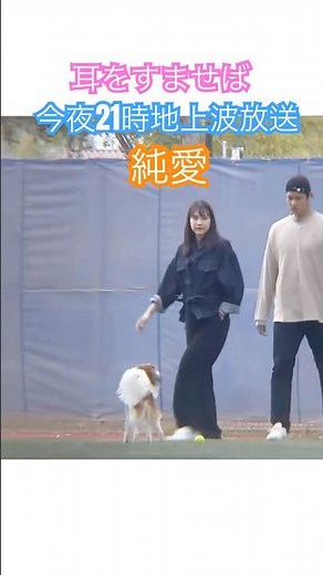 大谷翔平＆田中真美子＆デコピン ジブリ 耳をすませば今夜地上波で21時から放送