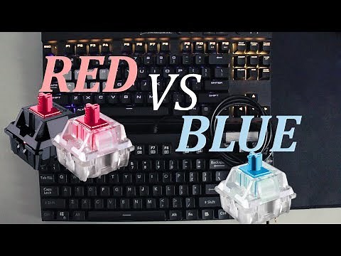 [SOUND TEST]: Red VS Blue Mechanical Key Switches