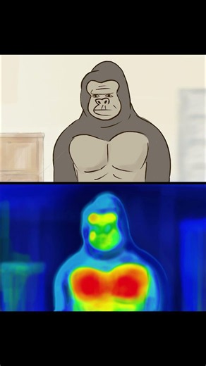 サーモグラフィー/thermography