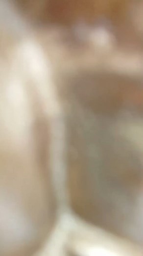 Welcome to the official Escoffier Disciples group in Romania! #chefswork #escoffier #chef | Chefs Work