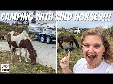 Ocean City Boardwalk & Camping with WILD HORSES at Assateague State Park, Maryland (RV East Coast)