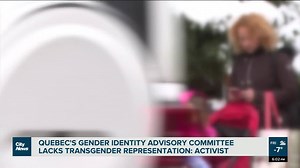 Quebec's gender identity committee sparks representation concerns