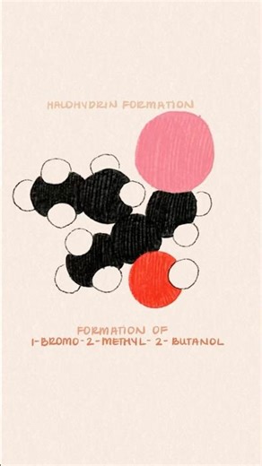 Halohydrin Formation from 2-Methlybutene (Alkene) Organic Chemistry I Animation #organicchemistry