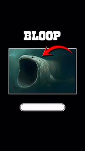 The Bloop” was an extremely powerful underwater sound recorded in 1997 by the U.S. National Oceanic and Atmospheric Administration (NOAA). This video explains where it came from, why it was so mysterious, and the scientific discoveries that finally solved it. Presented in a completely safe, educational, and non-graphic way #TheBloop #OceanMystery #ScienceTok #DeepSea #fyp | CrimeTime