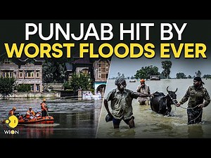 Punjab Floods LIVE: Punjab Battles Worst Floods In Decades, Over 1200+ Villages Wiped Out | WION