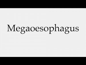 How to Pronounce Megaoesophagus