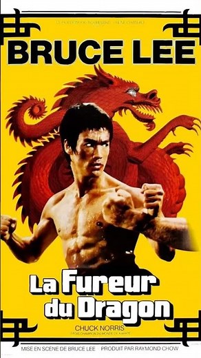 (Extrait) La Fureur du Dragon