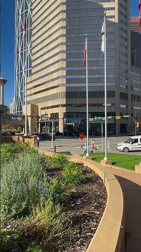 🇨🇦 Downtown Calgary glows under perfect skies! Calgary Tower steals the show in this epic view!
