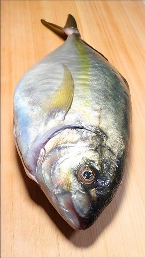 最高級シマアジを3日熟成して刺身にしたら美味すぎた #シマアジ #刺身 #魚の捌き方