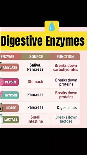 amylase #lipase #amylase #digestiveenzymes #digestionandabsorption #digestion #absorption #gitract