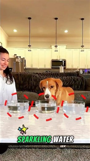 What Happens When Dogs Drink THICK Water 💧🐶