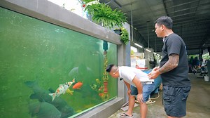 Thưởng Thức Cá Khủng Sông Đà 50kg - Món Nào Cũng Ngon Xuất Xắc #sapatv #haisapatv #dacsantaybacsapatv #tuyenxinhgai #chophientaybac | Sapa Tv