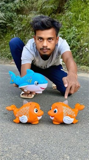 Rc 3 Ta Remote Control Fish vs Rc dolphin Deko 😊