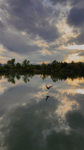 Birdwatching Adventures: Explore Nature Through Photography