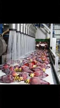 Inside a Rough, Old-School Banana Blossom Processing #howitsmade #fruitjuice #insidethefactory