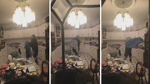 328K views · 1.6K shares | #WATCH Bat flies into a Kerry household and absolute hilarity ensues - via Tadhg Fleming | Irish Independent | Facebook