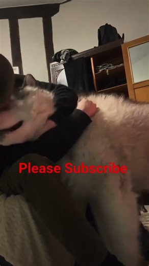 Normal people cuddle dogs....I inhale them. i regret nothing. #petshub #cuteanimal