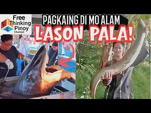 TULINGAN at PATING! Mga isda na may lason pala? Poisonous fish