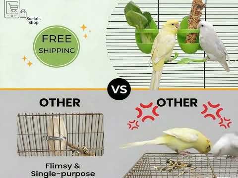 Bird Cuttlebone Holder - Cage Feeding & Vegetable Fruit Holder for Parrots, Budgies, Cockatiels