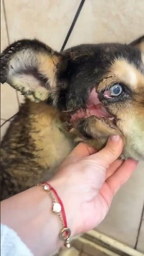 HEATHER - Dezember 2023