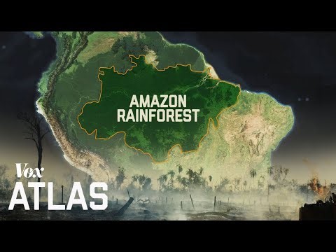 The Destruction Of The Amazon Rainforest & Its Consequences