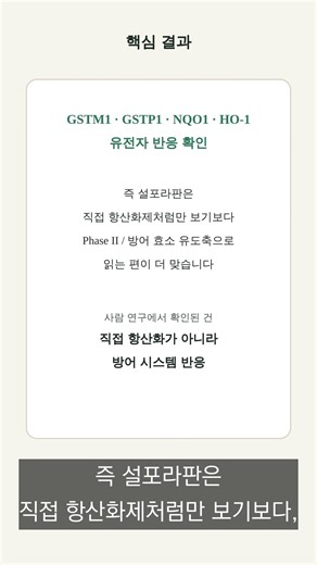 설포라판은 직접 항산화제일까? 사람 연구의 핵심은 NRF2 반응