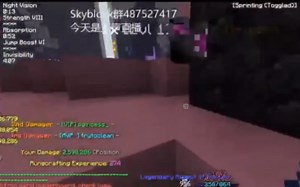 超级Skyblock memes(转载侵删