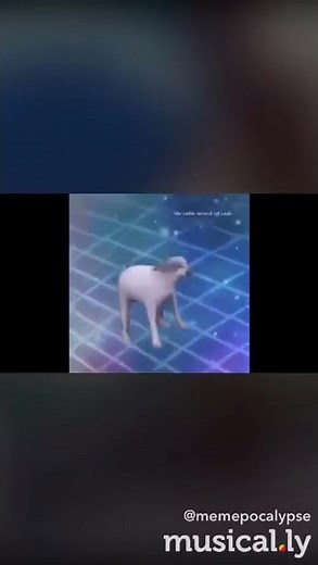 Brazil Dog DANCE TILL YOUR DED MEME