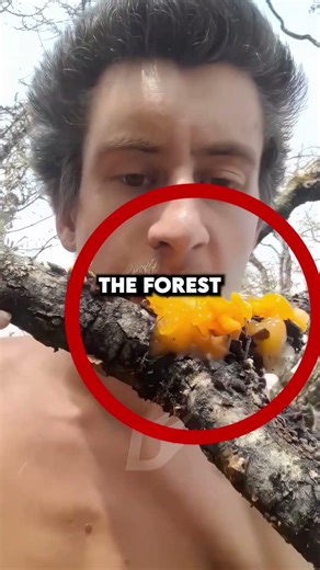 He Does Something Crazy After Stinging Himself With Bees