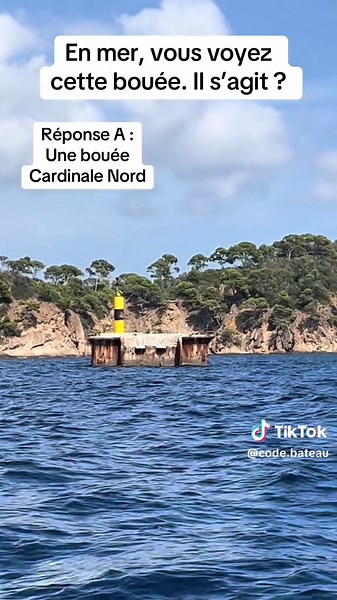 code bateau sur TikTok