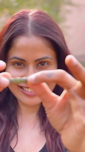 34K views · 638 reactions | Getting ready to harvest the first tuur (pigeon peas) of the farm! Looks gorgeous, tastes awesome and is 100% organic. Would u like to come and share this experience with us? Write to us on theweekendfarmerpali.com | Chhavi Mittal | Facebook