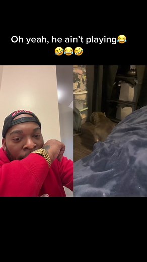 #duet with @missrissalove #robitussin he clearly understood the assignment🤣🤣😂#fypシ #fypp #fypシ゚viral #fypdonggggggggg #fypages #dogs