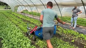 2.2K views · 70 reactions | #repost • @rosecreekfarms The team in...