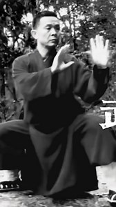 The most orthodox Taoist Tai Chi in China, demonstrated by Tai Chi master Huangshan #taichi #taichichuan #taiji #taijiquan #太极 #太极拳 | taichiart
