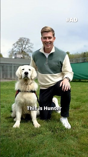 The Importance of PTSD Service Dogs #ad