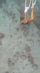 1.2M views · 4.5K reactions | i crushed it!!! #hawaii #diving #underwater #models #ocean #diver #girls #shipwreck | CEO Of The Ocean | Facebook