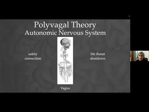 Transforming Trauma into Healing: From Neuroception to Regulation
