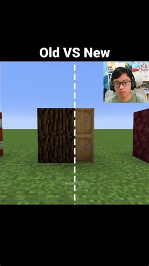 Minecraft Old VS New Blocks Moment