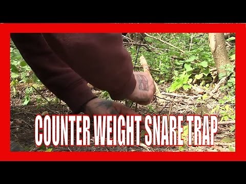 Counter Weight Snare Trap