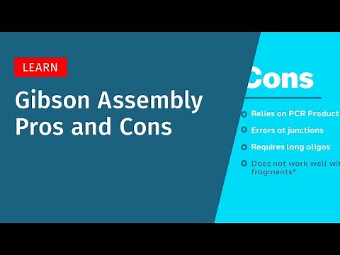 Gibson Assembly Pros and Cons