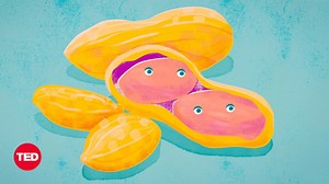 What’s the difference between a food allergy and an intolerance?