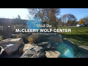 McCleery Wolf Center
