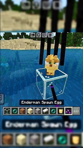 Building a Secret Ocelot Army in Minecraft! 🐱🌊 #Shorts