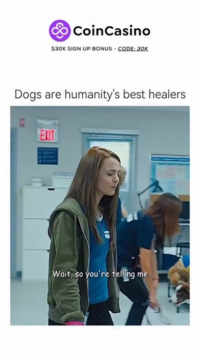 The Chuckle Community on Instagram: "🎬 A Dog’s Purpose (2017) A Dog’s Purpose is a family drama film based on the novel by W. Bruce Cameron, exploring the bond between humans and dogs across multiple lifetimes. ⸻ 🐶 What It’s About The story follows a dog named Bailey who reincarnates into several dogs’ lives over decades. Through each life, Bailey teaches lessons about love, loyalty, and friendship while forming deep connections with humans, especially his original owner. The film highlights t