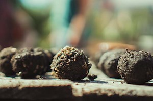 DIY Seed Bombs With Clay, Flour or Paper (Easy)
