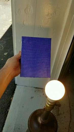 is it blue or purple? #colortheory #blue #purple #whatcolor