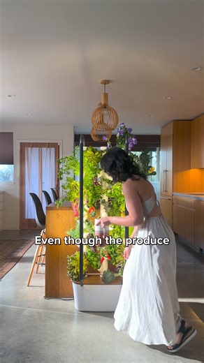 Introducing Gardyn, the easiest way to grow this summer! 🌱 AI-Powered Growth Assistant Kelby 💧 Real-Time Water Measurements ☀️ Automated Water and Light Schedule 🥕 Grow Sustainably & Pesticide Free 🪴30 Free Plants Included Shop now and try risk-free for 60 days | Gardyn