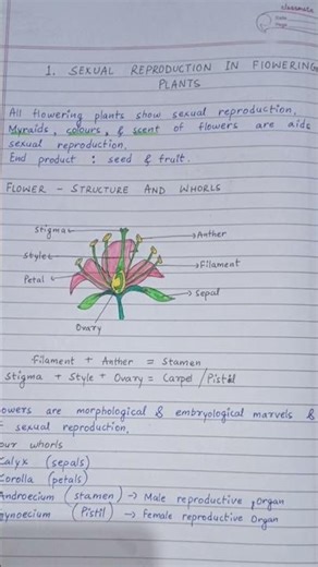 jac class 12 biology chapter 1 notes comment if you need